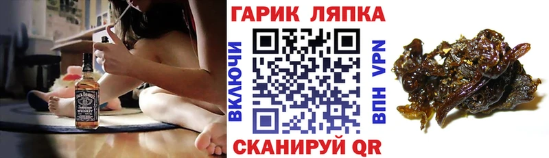 ГАШ Изолятор Новомосковск