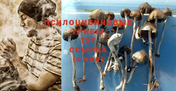 a pvp Арсеньев