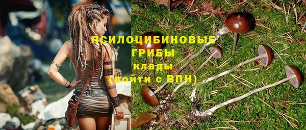 a pvp Щучье