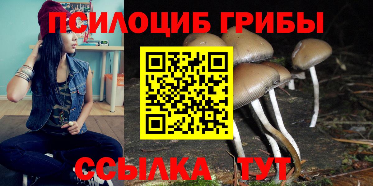 Галлюциногенные грибы Magic Shrooms  магазин    Новомосковск  Псилоцибиновые грибы прущие грибы  Вход с VPN 